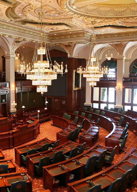 The Illinois House of Representation